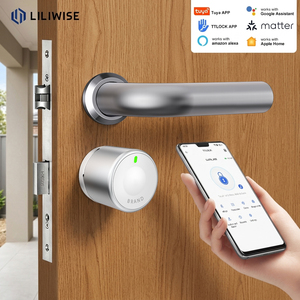 Liliwise Tuya Ttlock Matter Keyless Smart Lock