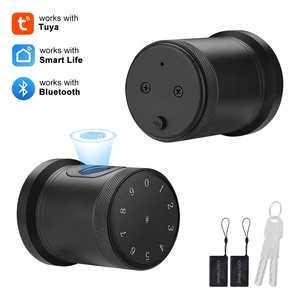 Tuya Spherical Ball Smart Lock
